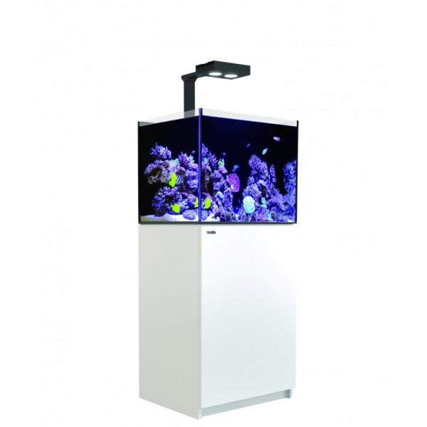 RED SEA - Reefer Deluxe 170 Blanc (1 ReefLed90 et 1 potence)