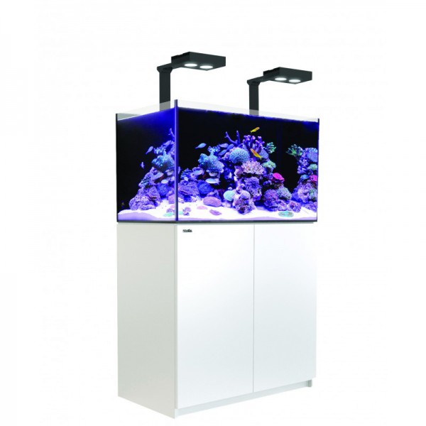 RED SEA - Reefer Deluxe 250 Blanc (2 ReefLed 90 et 2 potences)