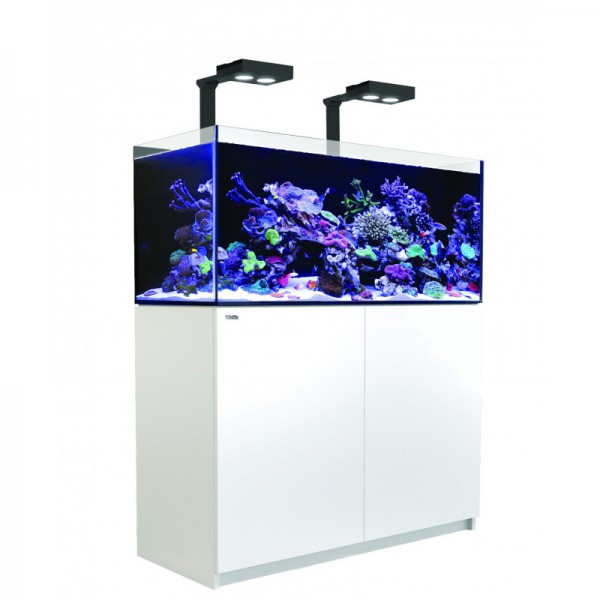 RED SEA - Reefer Deluxe 350 Blanc (2 ReefLed 90 et 2 potences)