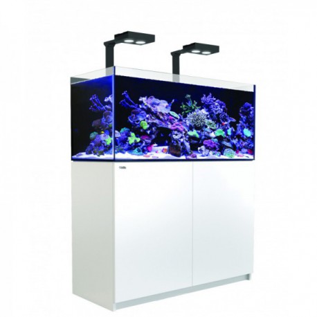 Reefer Deluxe 350 Blanc (2 Hydra 26 HD et 2 potences) Red Sea
