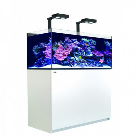 Reefer Deluxe XL 425 Blanc (2 Hydra 26 HD et 2 potences) Red Sea