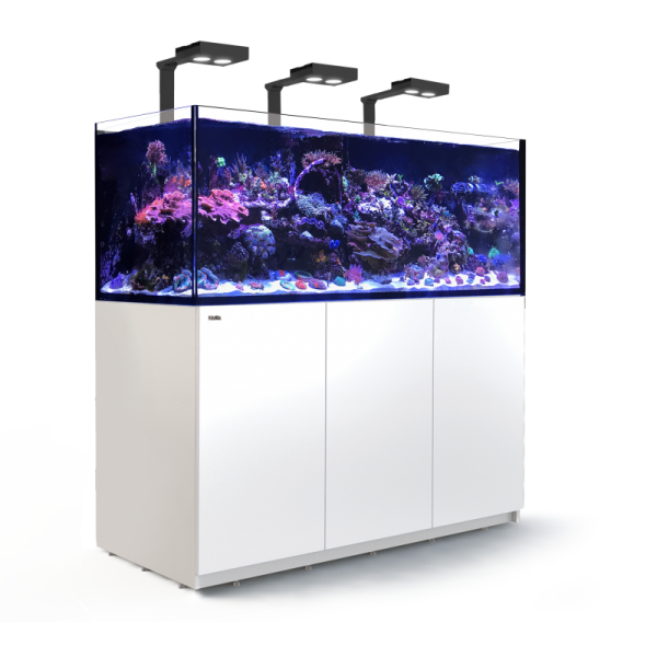RED SEA - Reefer Deluxe XXL 625 Blanc (3 ReefLed 90 et 3 potences)
