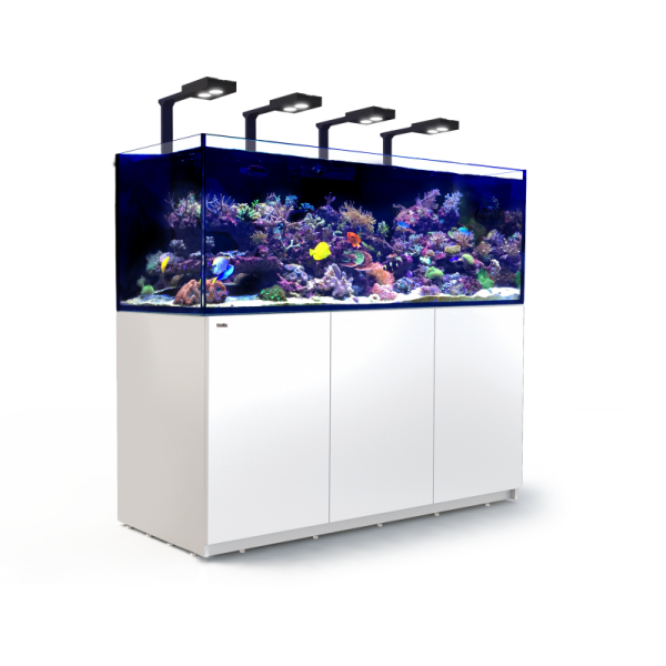 Reefer Deluxe XXL 750 Blanc (4 Hydra 26 HD et 4 potences) Red Sea