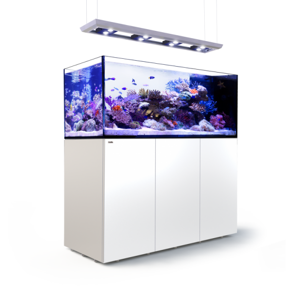 RED SEA - Reefer Peninsula Deluxe P650 Blanc (4 ReefLed 90 + Suspension)