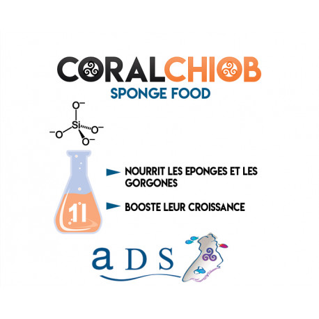 Coral Chiob 1L ADS