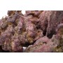 Life Rock Shapes CaribSea Box 9.07kg